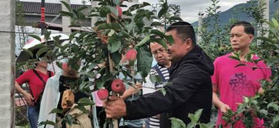 http://www.pzhu.edu.cn/__local/9/7A/17/A51B0619E225B00EBA43E76F5E6_FF30AAF8_7205.jpg